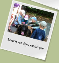 Besuch von den Leonberger